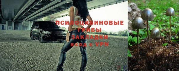 герыч Бородино