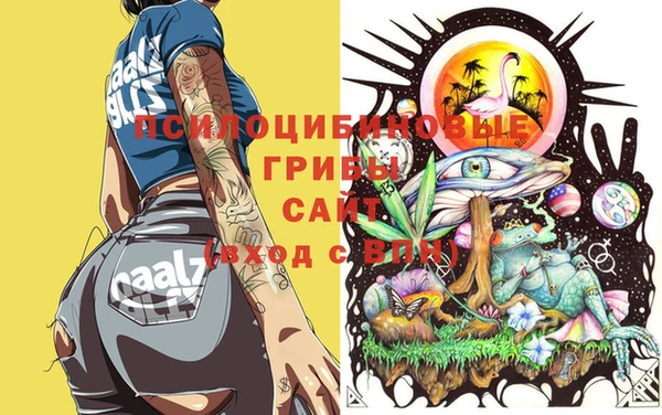 герыч Бородино