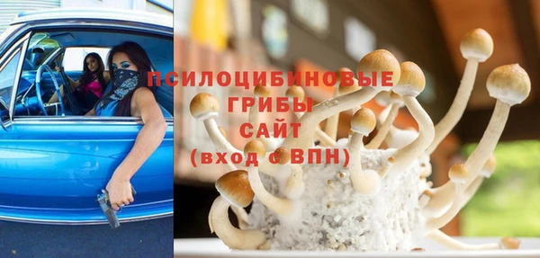 герыч Бородино